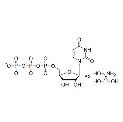 UTP, 200mM Tris Salt Solution
