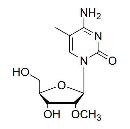 5-Me-2'-O-Me-Cr 5-methyl-2'-O-methylcytidine